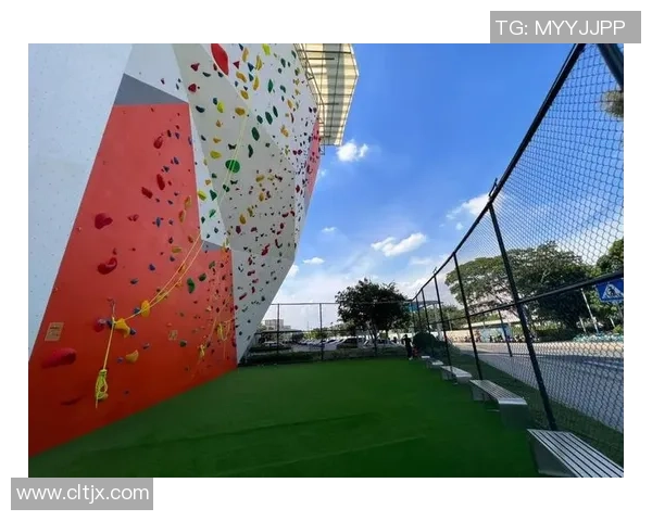 广州攀岩队整体压制现象解析与攀岩热点的深度探讨 广州攀岩队整体压制现象解析与攀岩热点的深度探讨