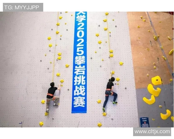 武汉攀岩队的团队协作探索与攀登精神的完美结合